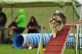 2013-05-19 um 09-45-27 (1)